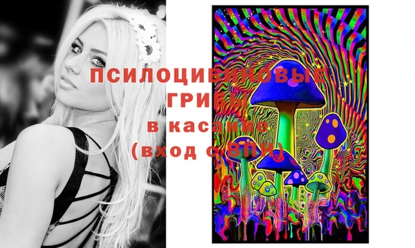 Альфа ПВП Каменногорск