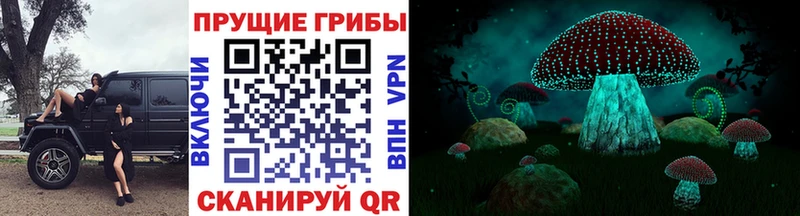 Псилоцибиновые грибы Psilocybe  Купить закладки  Черемхово 